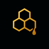 Analyst Hive logo - Similar company to Learn.Lead.Launch!