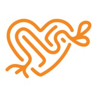 Dynamic Development Today logo - Similar company to Infinite Growth Coaching Ltd
