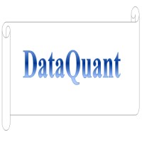 Dataquant logo - Similar company to Respect Kinshasa