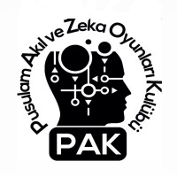 Pusulam Bilim Sanat Merkezi logo - Similar company to Opinio