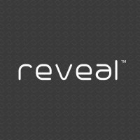 Reveal Lasers INDIA logo - Similar company to Catapult Sky