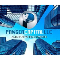 Pangea Capital Partners logo - Similar company to Dreamscape Global