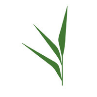 All-Nutrient logo - Similar company to Auraflora