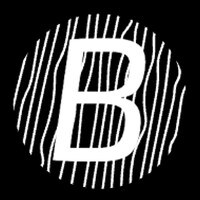 Bjern Consulting logo - Similar company to Bilxtra