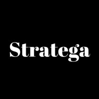 Stratega Politiks logo - Similar company to Red Mundial De Jóvenes Políticos - Perú