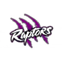 Raptor logo - Similar company to Arabic Dev Group My