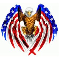 All American Windows & Glass logo - Similar company to Alpha Glass Ltd