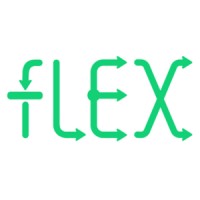 Flex-Vision logo - Similar company to Get Courageous Coaching