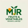 MJR Fruits & Vegetables Private Limited logo - Similar company to Uk Trading Company