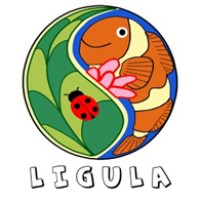 PT Lintas Gunung dan Laut logo - Similar company to Indonesia Marine Summit