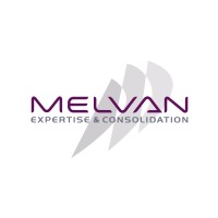 MELVAN EXPERTISE ET CONSOLIDATION logo - Similar company to Amelkis