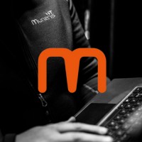 Muneris IT logo - Similar company to It Software