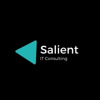 Salient IT Consulting, LLC logo - Similar company to Salient It