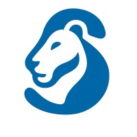 LionStack logo - Similar company to Lionstack