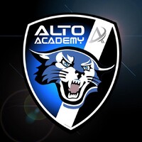 ALTO ACADEMY logo - Similar company to Bm Group Components S.R.L.