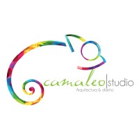 Camaleo Studio MX logo - Similar company to Rocu It Consulting Mx
