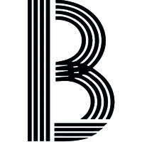 Born Consulting - Personalberatung logo - Similar company to Avitea Industrieservice Gmbh
