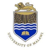 Department of Fine and Performing Arts, University of Malawi logo - Similar company to The University Of Malawi - Unima Ecampus
