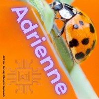 Adrienne AI™ logo - Similar company to Dare Real Agile