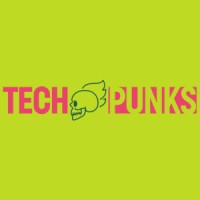 TECH PUNKS logo - Similar company to Tech Punk Gmbh