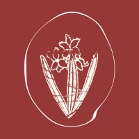 Studio Zumbul logo - Similar company to Videostroj
