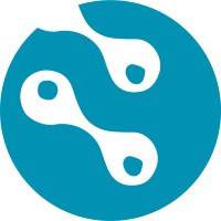 Netin logo - Similar company to Bank Study