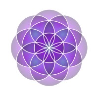 qAi logo - Similar company to Zakład Działalności Innowacyjnej Innovator Sp. Z O.O.