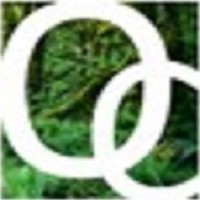 Ogilvie Consulting Limited logo - Similar company to Ardmore Point Ltd