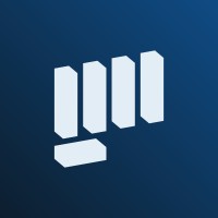 Limitless Minds logo - Similar company to Valor Performance, Inc.