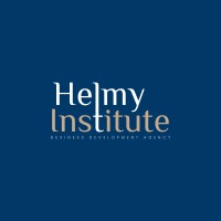 Helmy Institute logo - Similar company to Mash | Web And Tech Solutions