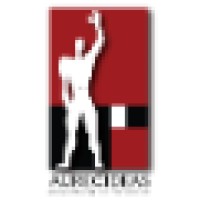 Aureoideas S.A. De C.V.