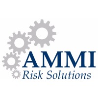 AMMI Risk Solutions logo - Similar company to Nws Technologies, Llc