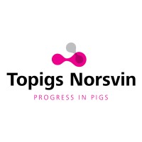 Topigs Norsvin Nederland logo - Similar company to Interactie Groep