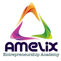 Amelix Academy logo - Similar company to Lenham Storage Co Ltd, Ham Lane