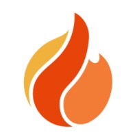 Brazen Data Solutions logo - Similar company to Intralytics