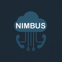 Nimbus Consulting logo - Similar company to Nimbus Consulting