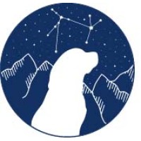 Blaze Search logo - Similar company to Blaze The David