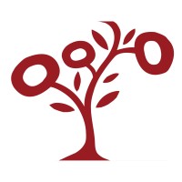 Halıcızade logo - Similar company to Elvis & Kresse
