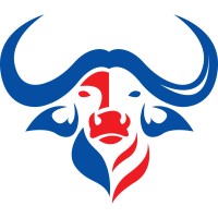 Buffalo Foundation logo - Similar company to Global Team Management