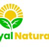 Nyal Naturals logo - Similar company to Webbycoder Technolab