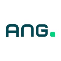 ANG Consultancy logo - Similar company to Idehweb