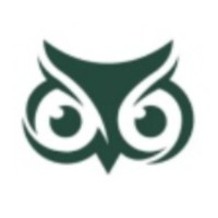 Digital Vision logo - Similar company to Hamim