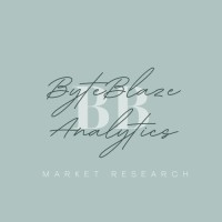 ByteBlaze Analyticss logo - Similar company to Intellectfuse