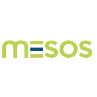 Mesos logo - Similar company to Qungle - Clases Particulares