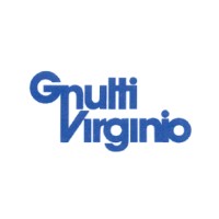 GNUTTI VIRGINIO S.P.A. logo - Similar company to Amma Spa