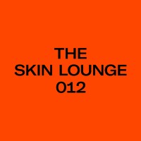 The Skin Lounge 012 logo - Similar company to Grupo Degusplus