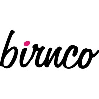 Birnco Financial Group logo - Similar company to Bnsg - Bluesky Network Solutions Group