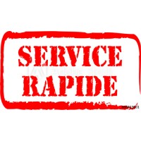 MNST SERVICE TRANSIT logo - Similar company to Fast Hope Delivery