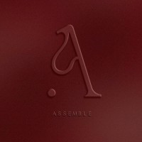 Assemble Singapore logo - Similar company to Marcella Holdings