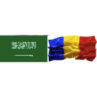 Chamber of Commercial Diplomacy with Kingdom of Saudi Arabia logo - Similar company to Flourish